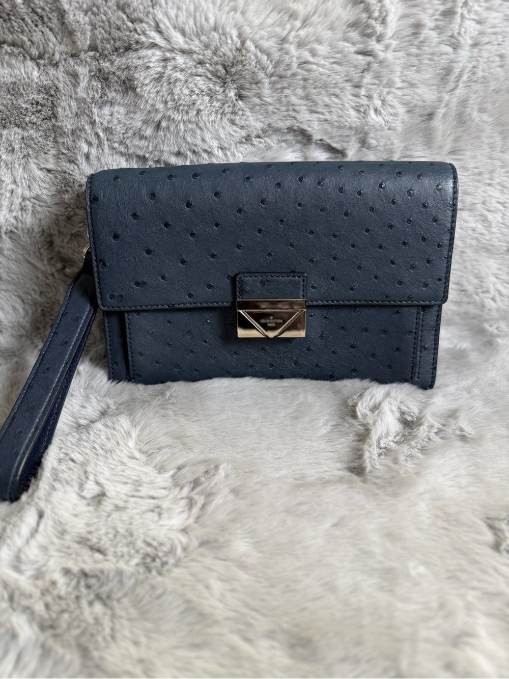 Louis Vuitton Ostrich Pochette Thames - Navy Blue
